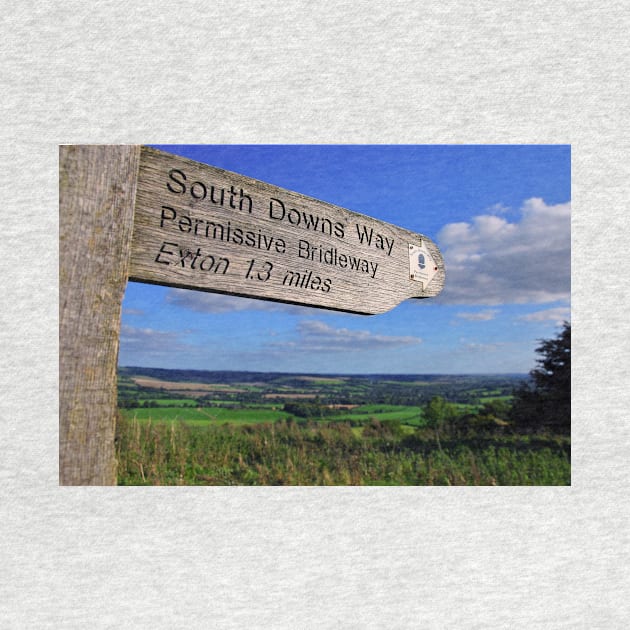 South Downs Beacon Hill Hampshire England by AndyEvansPhotos